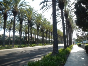 2015-09-Disneyland-10k-013