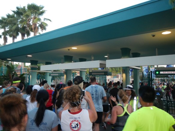 2015 Disneyland Half Marathon 008
