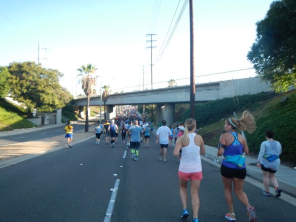 2015 Disneyland Half Marathon 024