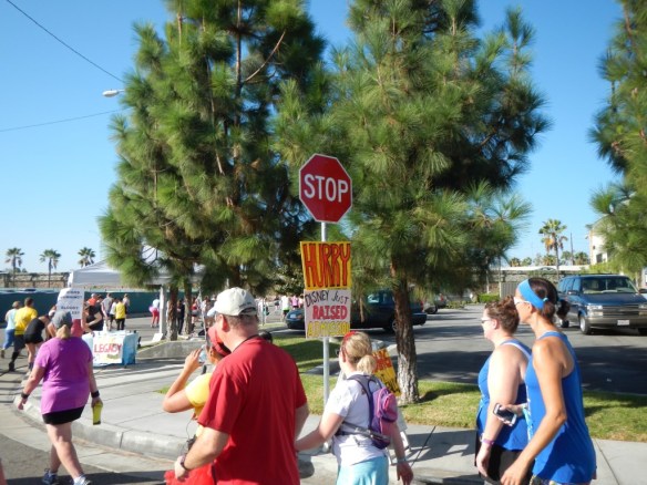 2015 Disneyland Half Marathon 033