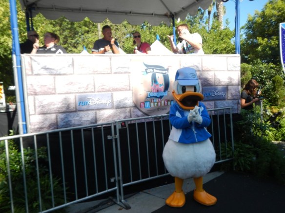 2015 Disneyland Half Marathon 041
