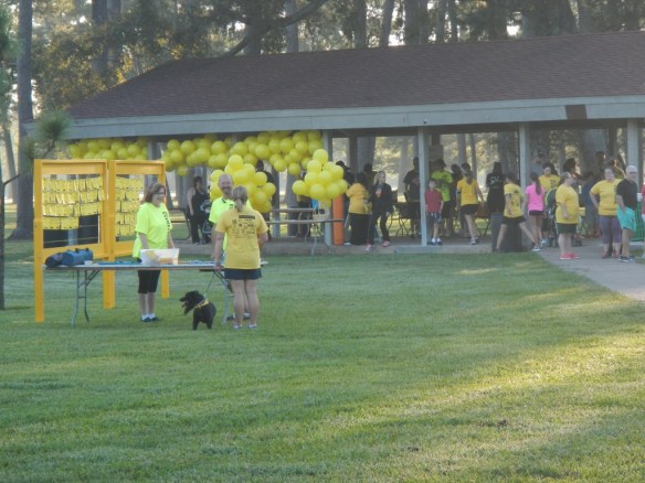 2015 LIVESTRONG 5K Beaumont TX 02