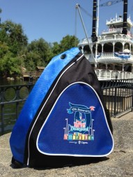 Disneyland Half Marathon 10th Anniversary Bag.jpg